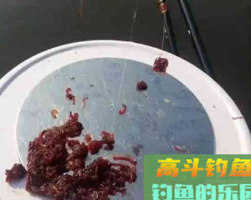 红虫不同场合下做钓饵技巧，用好了隔壁老王都眼红