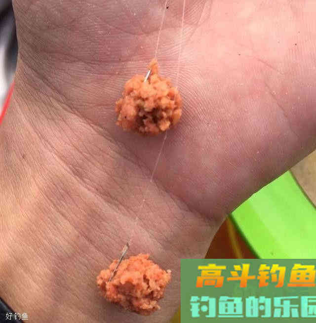 为什么浮漂不出顿口？今天来细说几点关于饵料的技巧