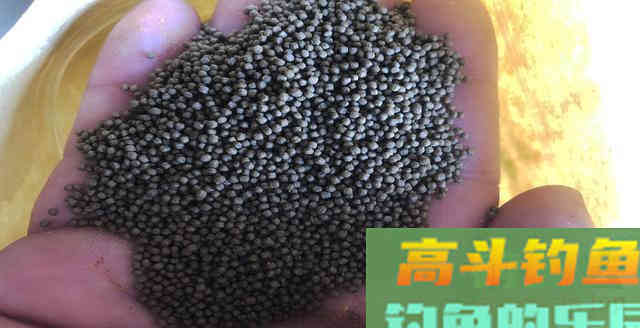 要想渔获多，掌握5个开饵原则，3个注意事项