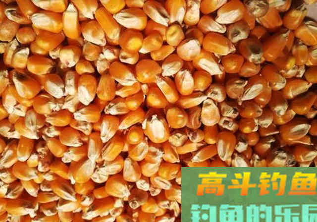 自制鱼饵配方送钓友，大小鱼通杀，感兴趣的拿走