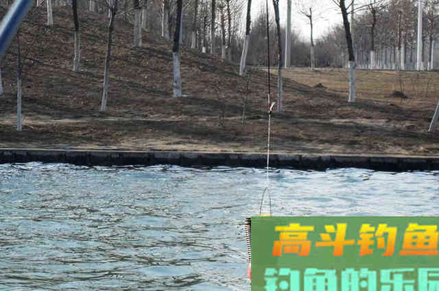 不会打窝的看过来，正确打窝用少量窝料诱多鱼
