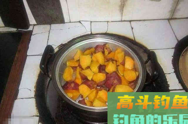 8月钓大草鱼的强效饵，推荐与使用方法