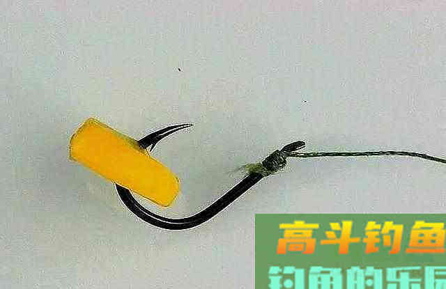 玉米是钓大鱼利器，这些才是利用玉米钓大鱼的正确方法
