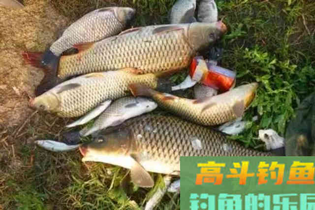 为什么野钓大鱼，首推海竿爆炸钩，从5个方面说我经验