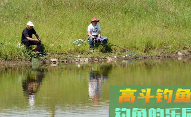 不可忽视的打窝学问，提前打窝不但上鱼快 而且钓获多