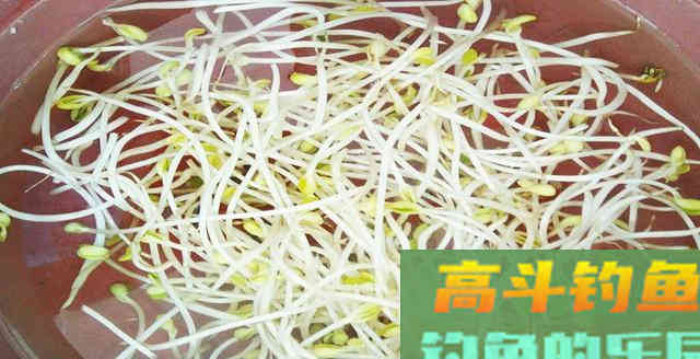 豆芽麦粒加这些做窝料，湖库钓鱼必备