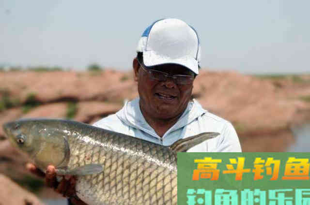 钓草鱼的饵料配方，知道后想不上钩都难
