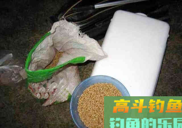 都是自制玉米粒，别人上大鱼你却空竿，从这些方面入手