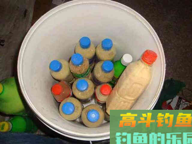 用自制饵料钓鲢鳙，这鱼一来一群，钓不散