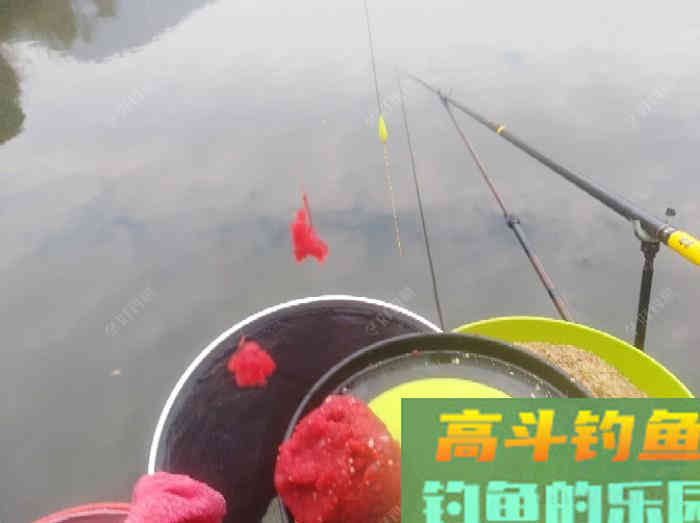 虾拉饵真实的制作过程与效果