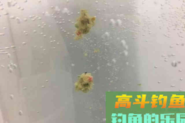 野钓小鲫鱼饵料状态很重要，好好考虑这些问题