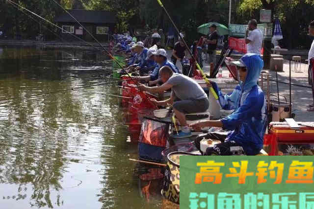 为何抽了散炮鱼情反而变差了？
