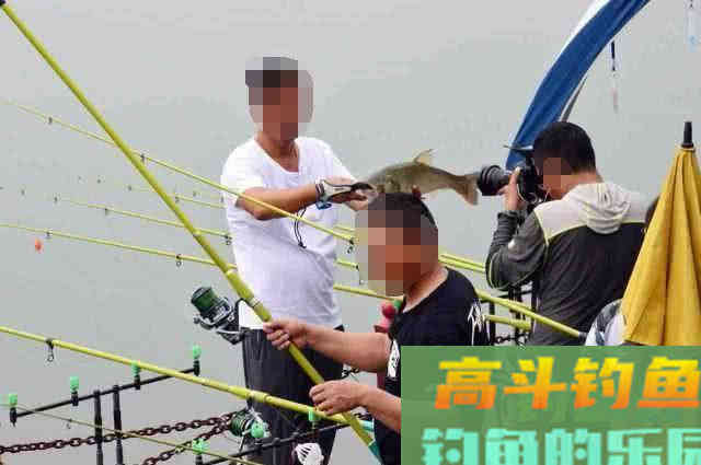 钓鱼新手使用鱼饵的五个误区，不要被大师忽悠了