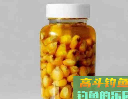 6款作钓鲤鱼的饵料，身边的材料钓鱼效果极好