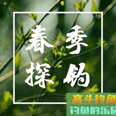 钓鱼打窝技巧——我自身经历的钓鱼