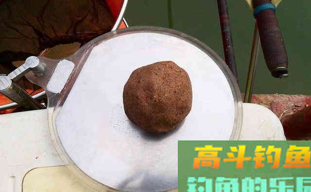 饵料有几种，钓鱼如何选饵料？这些答案在这里