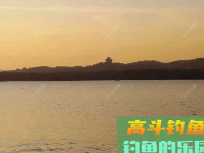 自制钓鲫鱼酒小米的几个误区，可帮助你钓获大鲫鱼