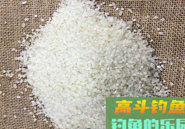 这样自制钓鱼酒米，满满一大盆成本不到50块