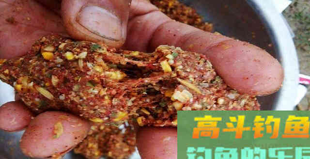 自制饵料并不难，满足这些条件就够了，附好饵料标准