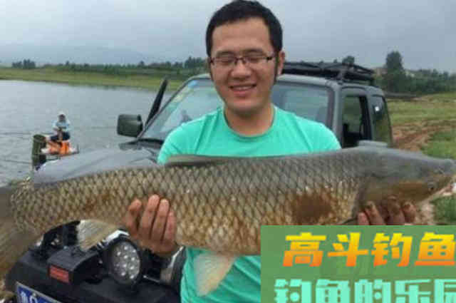 六月后，我就只想用这草鱼尿性饵