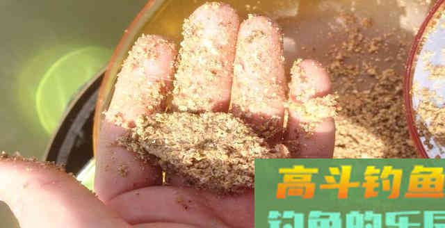 详解4种饵料介绍，特点和注意事项