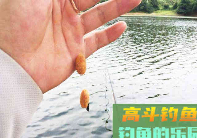 用不好搓饵，那就学学这些技巧，用好搓饵不再难