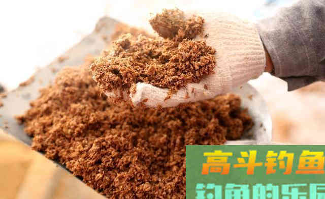 补窝后反倒停口？野钓补窝有三件事至关重要