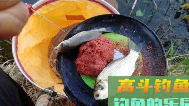 为什么你用拉饵总是钓不好鱼