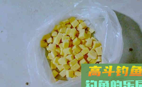 秋季钓鲤鱼，用这几款特效饵料，制作简单，效果不一般