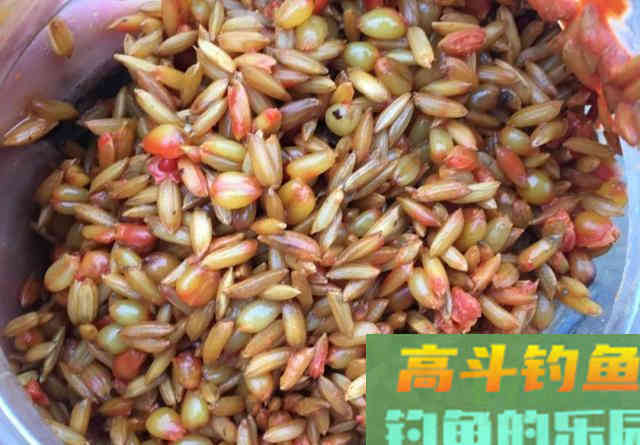 谷麦窝料的制作方法，添加剂配比都在这