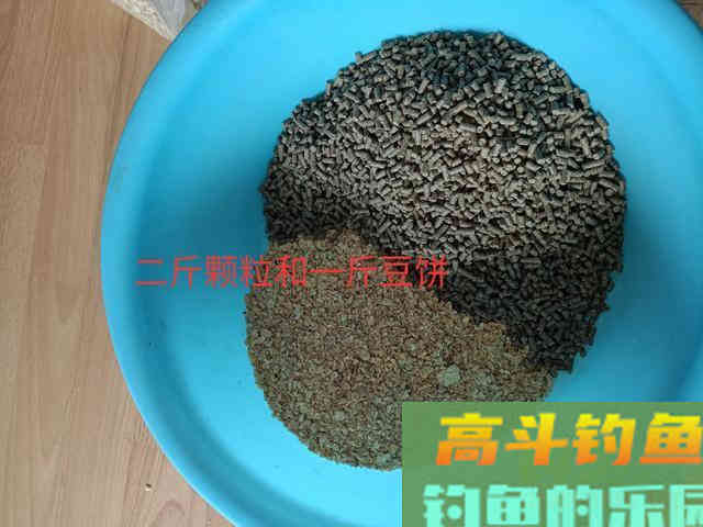 辽河海竿钓鲤鱼多年，玉米面最好用，附糟食饵配制步骤