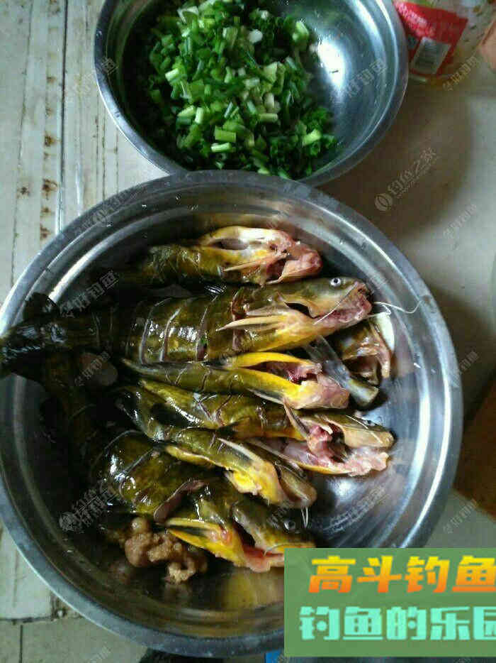 浅谈我的多种蚯蚓养殖方法