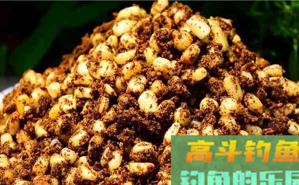 自制麦粒饵，夏季使用通杀大小鱼