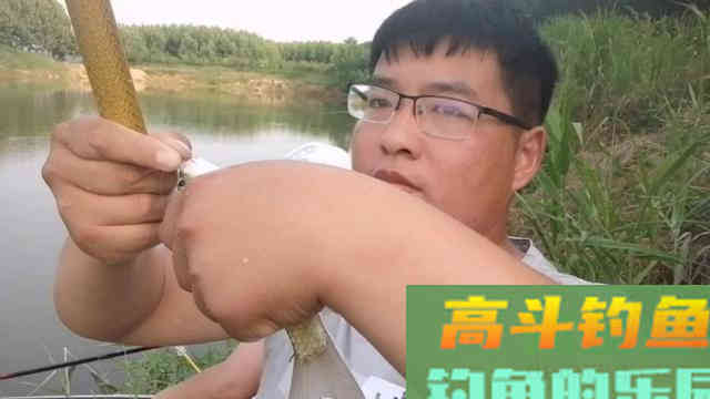 夏季钓鱼，学会这样使用米饭饵，专钓大鲫鱼