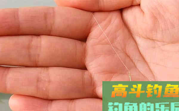 夏季高温鲫鱼不开口，两款自制清淡饵