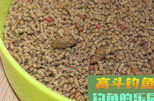 同样是用搓饵，别人能钓到，自己却不行，原因在这