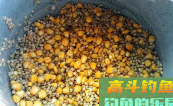 白露过后适合钓大鱼的窝料，用好了事半功倍