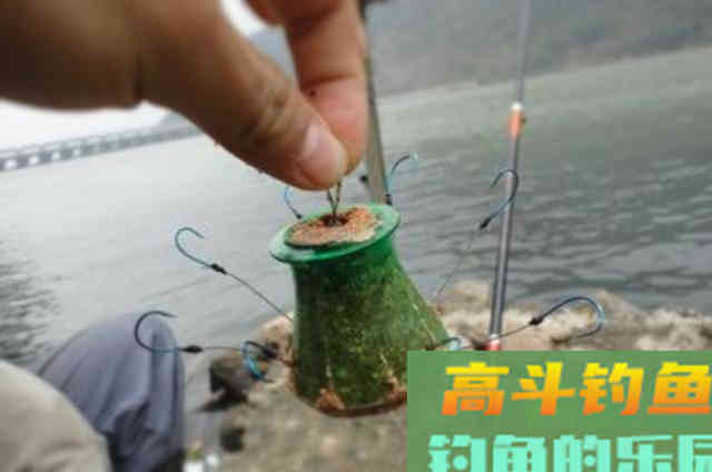 在生活当中，可以供钓鱼人使用的六种特效鲤鱼饵