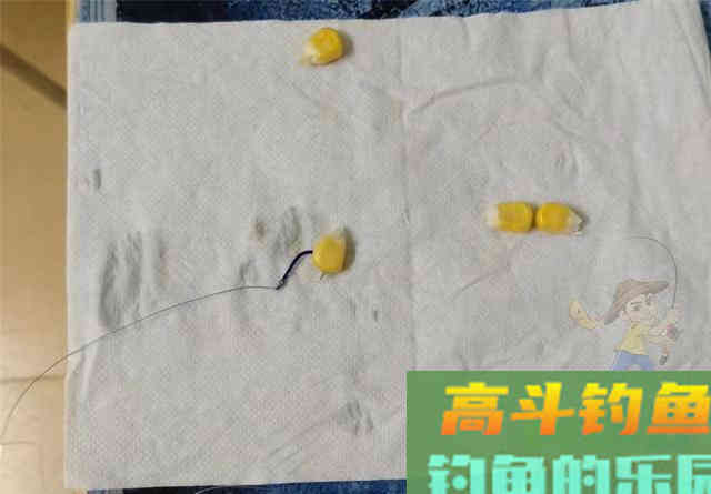 嫩玉米这样挂可大幅提高中鱼概率，不同的鱼用不同挂法