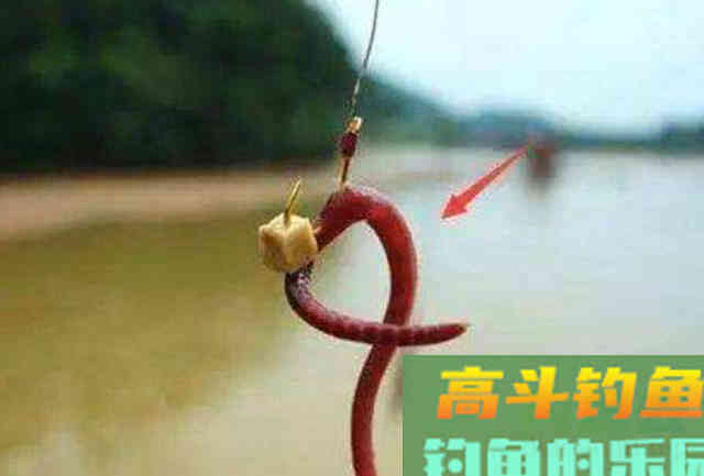 野钓的时候，蚯蚓万能饵料的3种高级用法