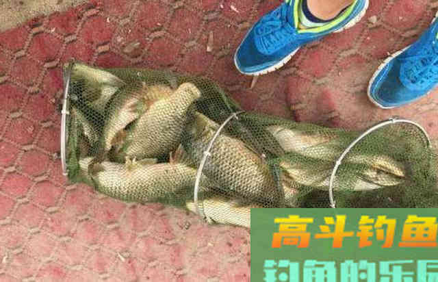 什么是钓鱼小药？介绍小药来历与现状