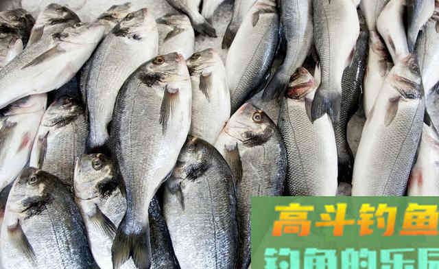 自制水库钓大鱼发酵窝料的材料与步骤，简单易懂