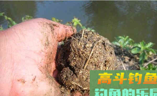 科学打窝，钓得更多！这几种更留鱼的打窝方法