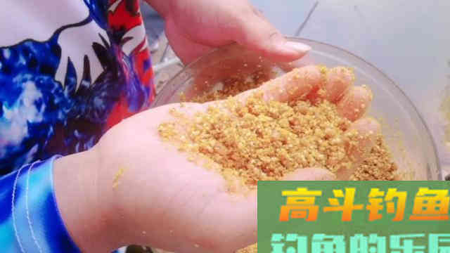 钓鱼遇到这种浮萍烂叶塘，直接使用蚯蚓这样钓