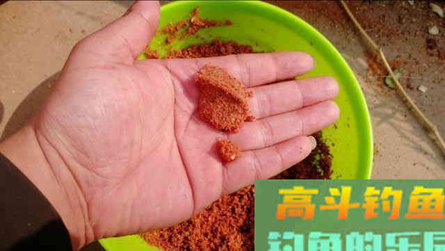 野钓环境下自制散炮，不但避小鱼，还专诱大鲫鱼