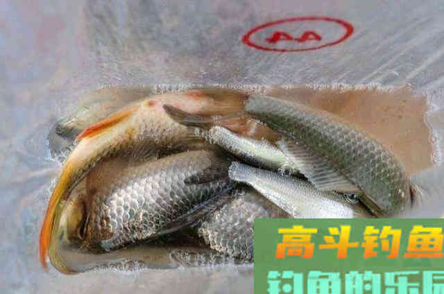 天热后，唯独这3种饵才最管用，不信你就试试