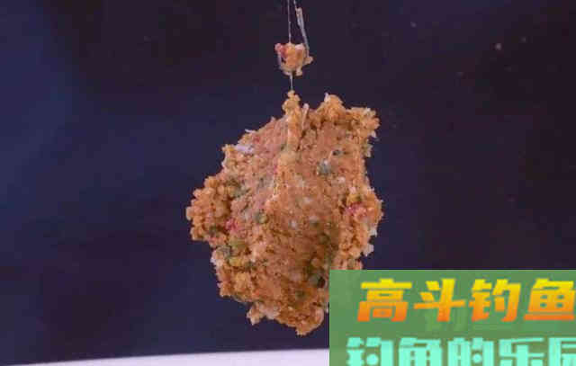 钓鱼用饵，重在实践，灵活运用方能成为高手