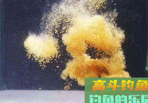 如何控制饵料的雾化速度与状态？在这里讲明白
