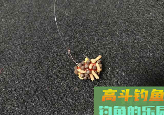 反状态开饵法：浮水颗粒不浸泡，实现立体诱钓出全效
