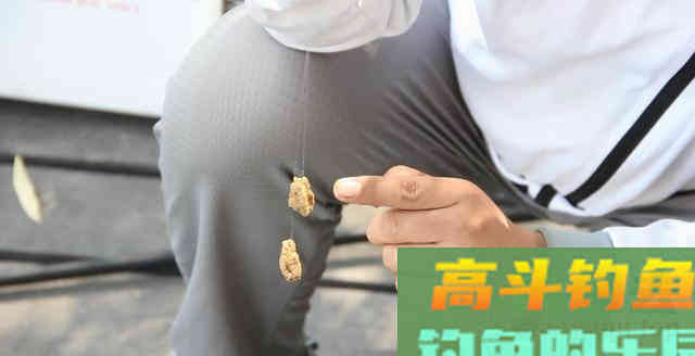 钓黑坑前期的干散饵要干散到什么程度？给你个数据